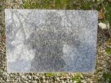 image of grave number 690566